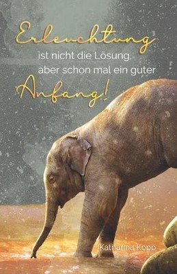 Erleuchtung ist nicht die Lsung, aber schon mal ein guter Anfang! by Katharina K