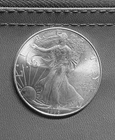 Silver Eagle 1996 Key Date.