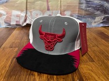 Chicago Bulls Mitchell Ness Day 5 Snapback Hat - Gray/White NICE New