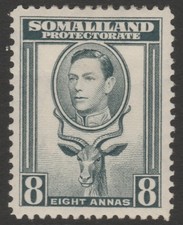 British Somaliland MINT GVI 1938 8a grey sg99