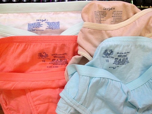 New Hanes,FruitLoom Etc Size 10/L Girls' Bikini Briefs 4 Pk Your Choice of Group - Picture 37 of 157