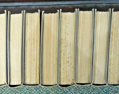 20 Vol Set: Baroness Dudevant George Sand Masterpieces Japanese Vellum Complete - Picture 2 of 6