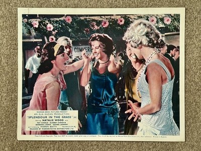 SPLENDOUR IN THE GRASS Original 61 Film Film Foto NATALIE WOOD BARBARA LODEN