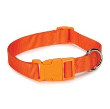 Dog Collar Bulk Packs 50 Orange Nylon Shelter Rescue Vet 4 Adjustable Sizes