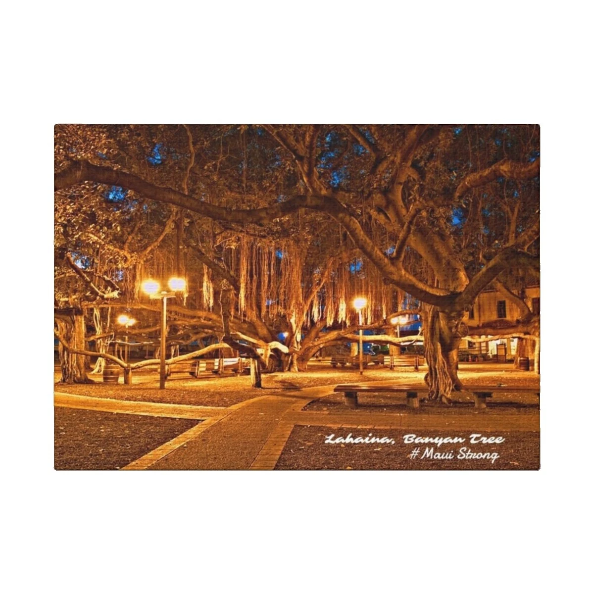 Food & Wine Posters & Prints