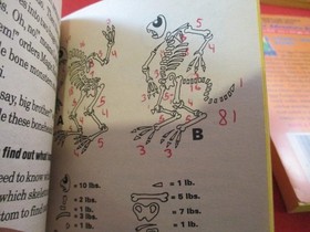 Nintendo Adventure Books Lot #1 #2 #3 #4 #5 #7 #8 #12 NES Era Super Mario Bros.