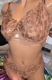 Victoria Secret bra Set 38DD XL Panty 🦋 Pushup Unlined Bronze Brown Fancy Lace