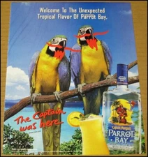 2001 Captain Morgan Parrot Bay Puerto Rican Rum Print Ad Advertisement Vintage
