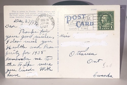 Postal Orange Grove en Florida Linen publicada 1937 - Imagen 4 de 5