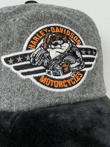 Warner Bros Harley Davidson | eBay