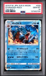 Gyarados 028/095 Tag Bolt Holo Rare Japanese Pokemon Card