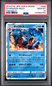 Gyarados 028/095 Tag Bolt Holo Rare Japanese Pokemon Card