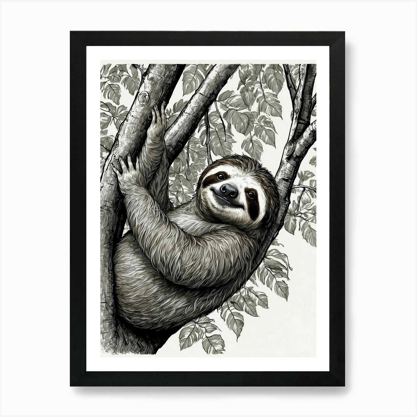 Sloth in Tree Framed Art Print Canvas Wall Decor Picture
