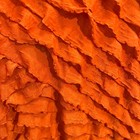 Bild 6 von 7