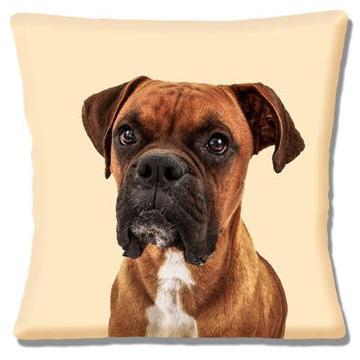 boxer dog cushion