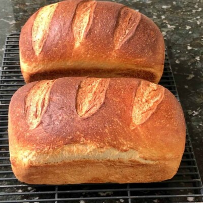 Dehydrated Sourdough Starter 125+ Yrs Old San Francisco - 15 Gram Bag