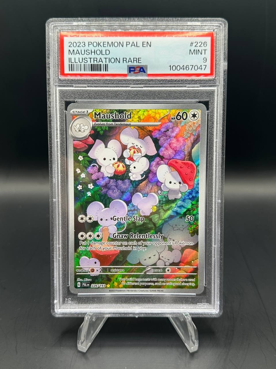 2023 Pokemon Scarlet & Violet Paldea Evolved IR Maushold #226 PSA 9 MINT