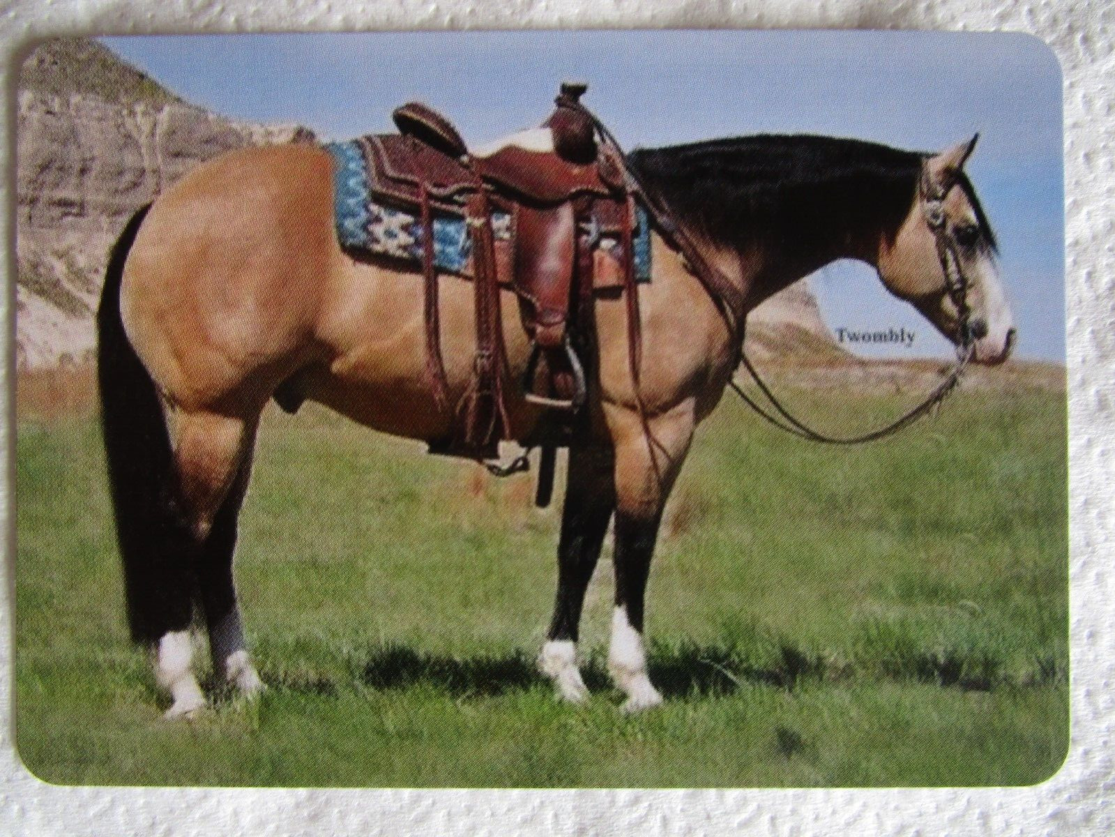 HORSE SWAP CARD~MODERN NEW~QUARTERHORSE BUCKSKIN BLAZE SOCKS SADDLED#96