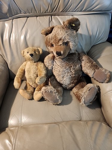 Lot Of 2 Germany Steiff Steif Teddy Bear button  Antigue Vintage 1958-1970