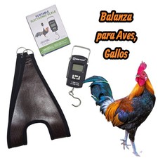 Chicken Holder Sling with Weight Scale for Roosters Hen Cock Poultry Weighing