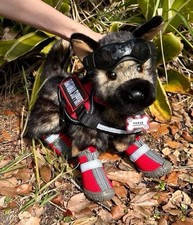 New Chief German Shepherd Plush Collectible Douglas Cuddle Essa Dog Gear HTF