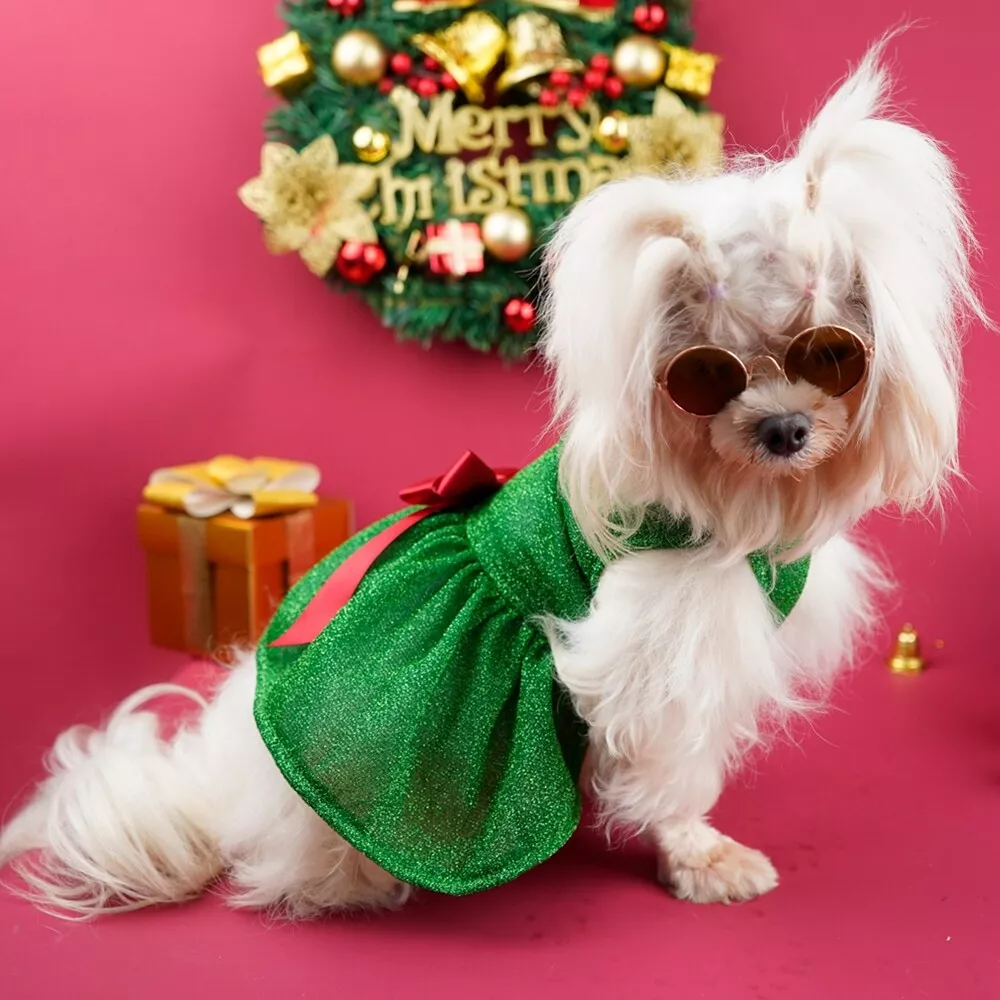 Cat christmas outfits shop uk