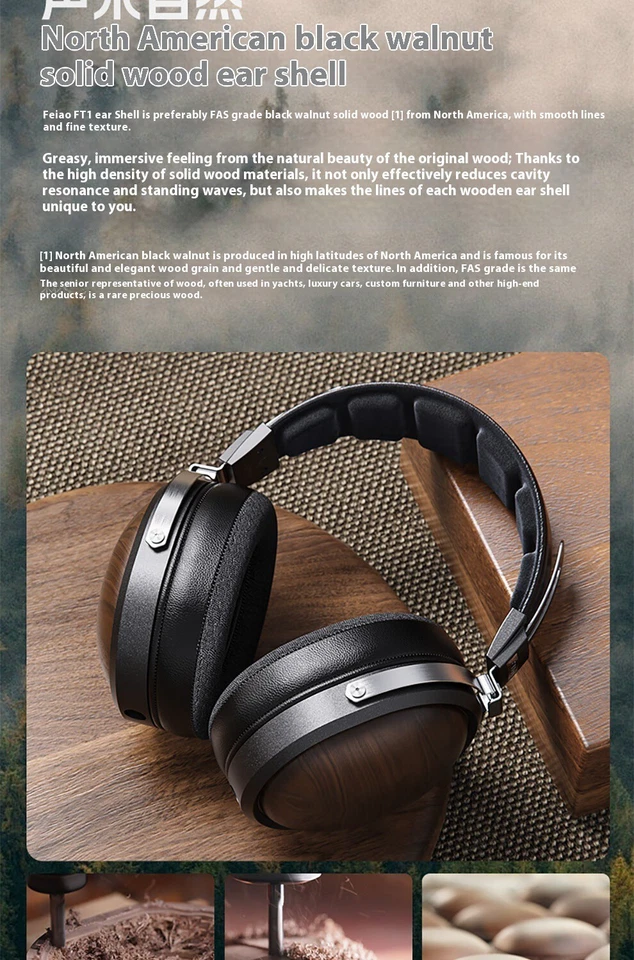 En stock Fiio FT1 cabezal montado con cable Foto 2 de 4