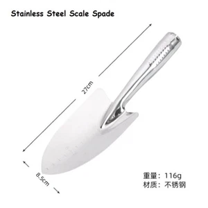 Scale en acier inoxydable Spade Jardinage Shovel Petits Jardins Succulents Outil