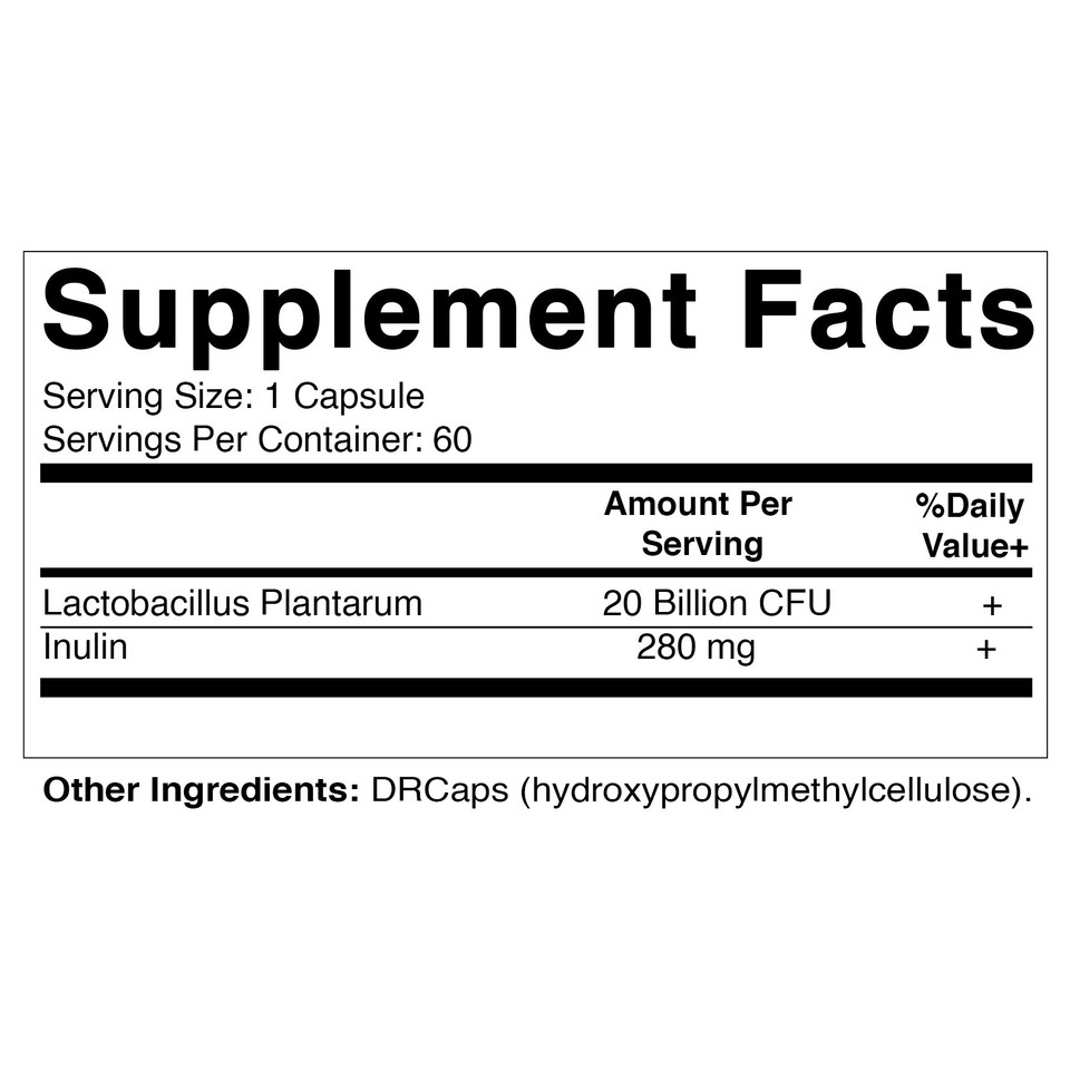 Lactobacillus Plantarum – 90 Capsules Végétariennes, 5 Milliards D’UFC, Pour La Digestion