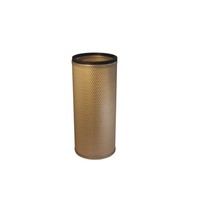 Filtron Am 404W SekundäRluftfilter