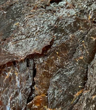 East Texas Beef Jerky Teriyaki Flavor 1/2 LB