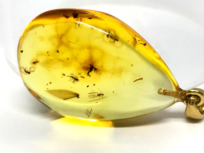 BERNSTEIN ANHÄNGER 4 Insekten Geschenk Natur OSTSEEBERNSTEIN Tropfen Insekt 3,4g 18147