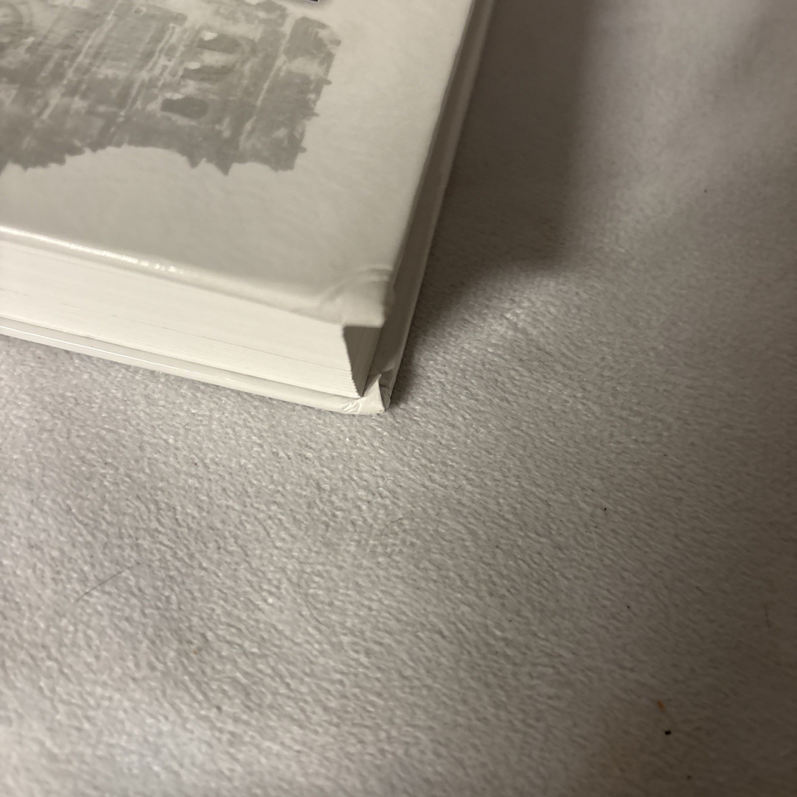 Picture 5 of 8