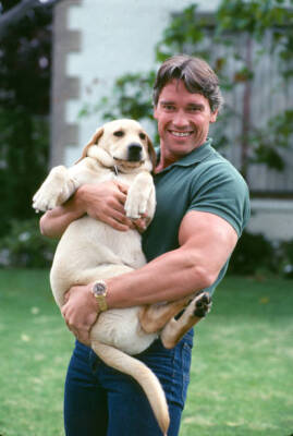 Arnold Schwarzenegger in 1982 is friendly and obliging with the pr- Old Photo 13