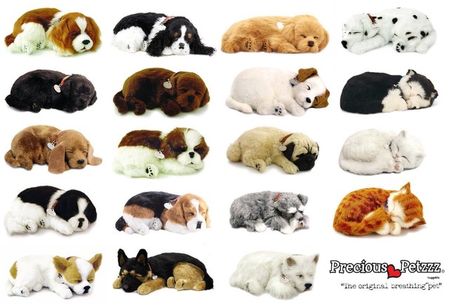 perfect petzzz panda