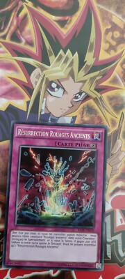 Yu-Gi-Oh! Karte Auferstehung Alte Räder RATE-FR070 Selten Französisch / Golem