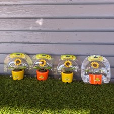 Solar Powered Dancing Sunflower Desk Decor Greenbrier International Set of 4