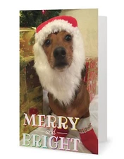 Scrappy Dizzle Designz 1 Holiday Card Christmas Dachshund Dog - Animal Rescue
