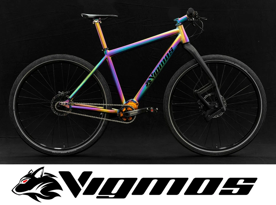 29er Pinion Velo Titan Rad titanium mtb twenty niner bike trekking gear bicycle