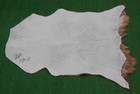 GOAT Western taxidermy Hide Rug Natural Pattern Fur Goat Hide Rode SA-3908 — photo 2