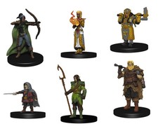 Dungeons Dragons Fantasy Miniatures: Icons of the Realms Starter Set