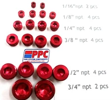 Pipe Plug Assortment Kit 1/16" npt thru 3/4" npt Red  20 pcs Aluminum