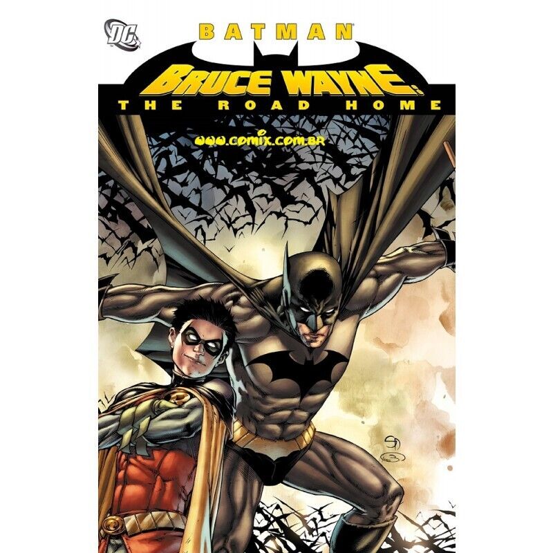 Bruce Wayne the Road Home hardback DC Comics graphic novel ~ New. Mint.