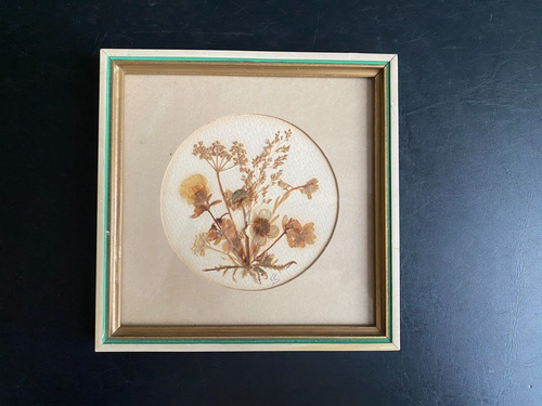 Joli cadre de fleurs séchées