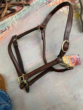 Full size  Leather Track Halter raised turnout  FREE SHIPPING