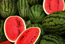 100+ KLECKLEY'S SWEET WATERMELON SEEDS - LARGE & SUPER SWEET - HEIRLOOM -- FRESH