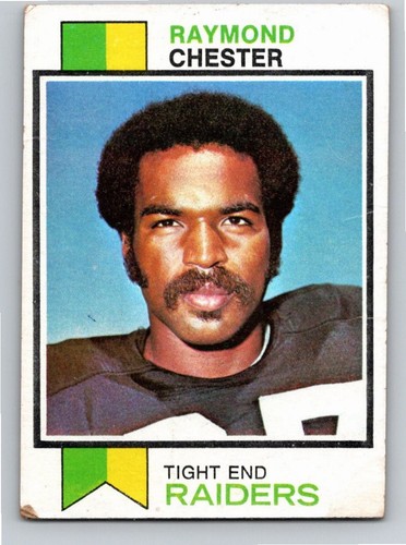 Raymond Chester #520 card