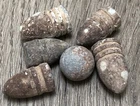 1864 U.S. CIVIL WAR BULLETS AND MUSKET BALL