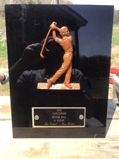 Modern Chic Golf Trophy Wall Plaque 1988 Inscribed 12x9 Golf Decor Office Tangle