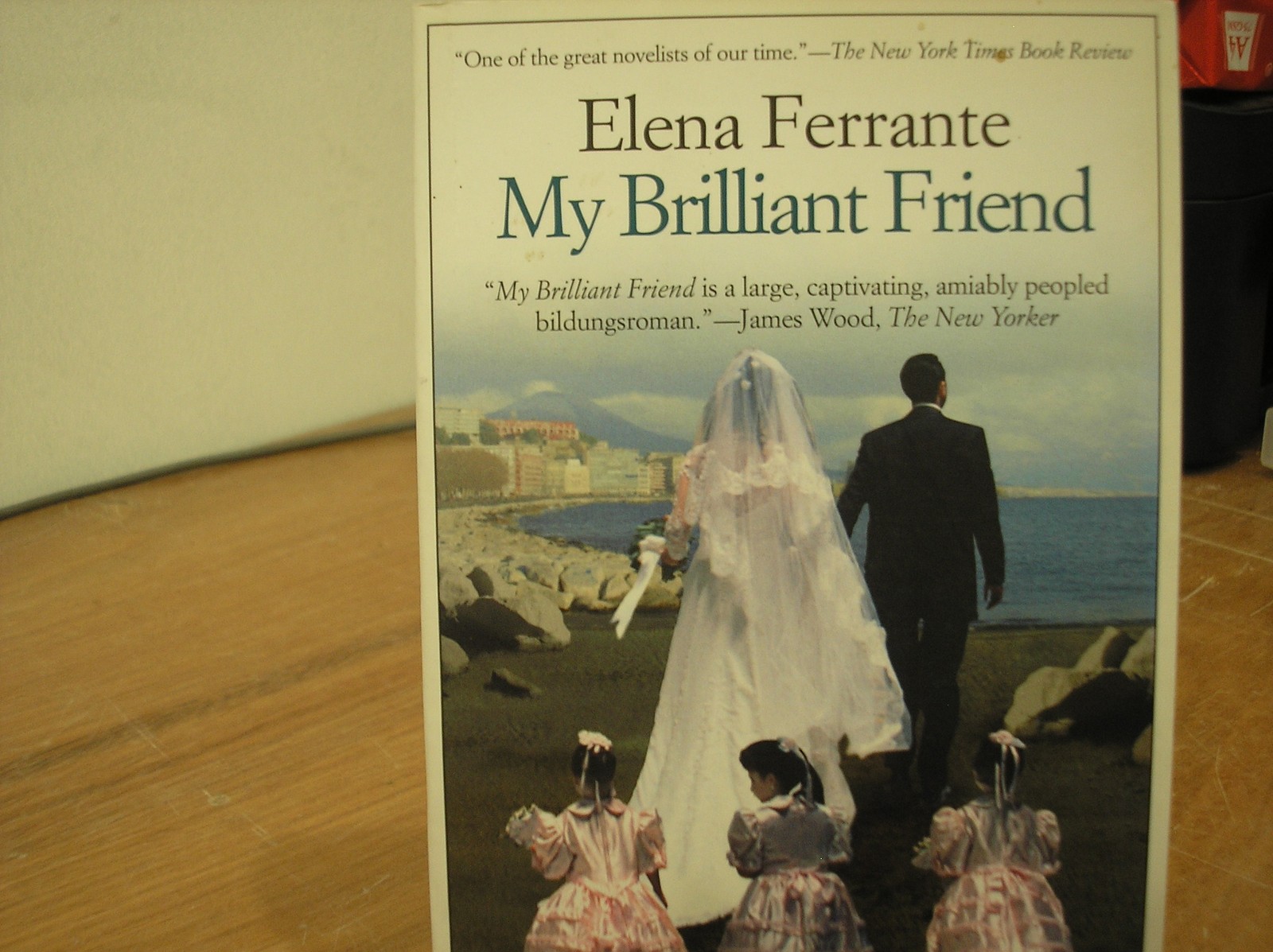 My Brilliant Friend Book One Of The Neopolitan Novels